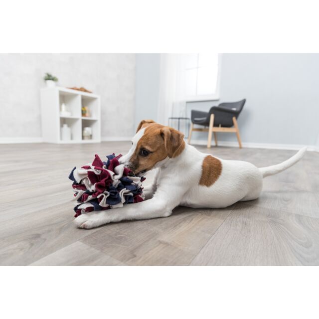 Dog Activity Sniffing Ball for interactive pet play and mental stimulation - Keans Claremorris