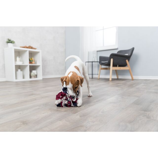 Dog Activity Sniffing Ball for interactive pet play and mental stimulation - Keans Claremorris