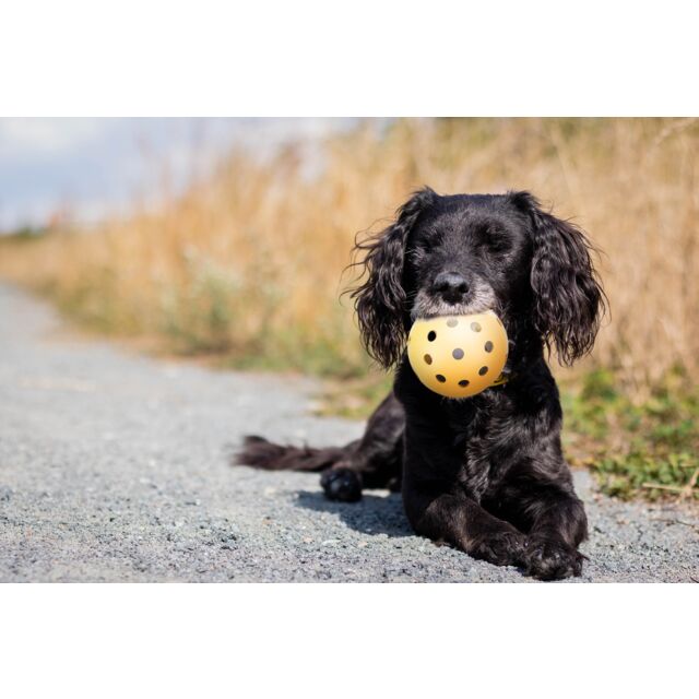 Ball with holes, 7cm diameter, lightweight toy ball for pets or play, available at Keans Claremorris.