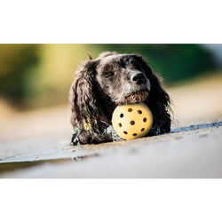 Ball with Holes 7cm, durable lightweight toy ball, ideal for pets or play - Keans Claremorris