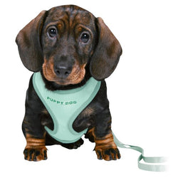 Junior Puppy Soft Harness 36-50cm Mint color, adjustable comfort fit – Keans Claremorris pet accessories
