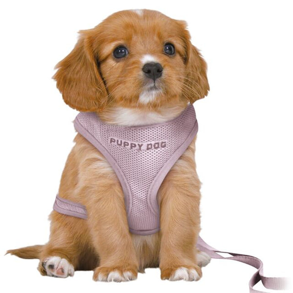 Junior Puppy Soft Lilac Harness with 3-Stage Adjustable Leash, Mesh & Nylon, Fully Adjustable - Keans Claremorris