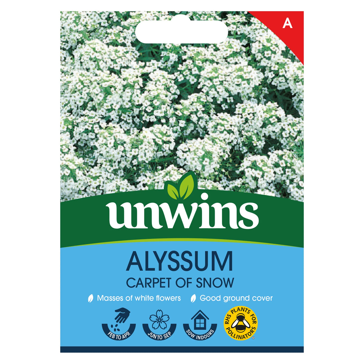 Unwins Alyssum Carpet of Snow seed packet with white flowers and planting icons on blue background