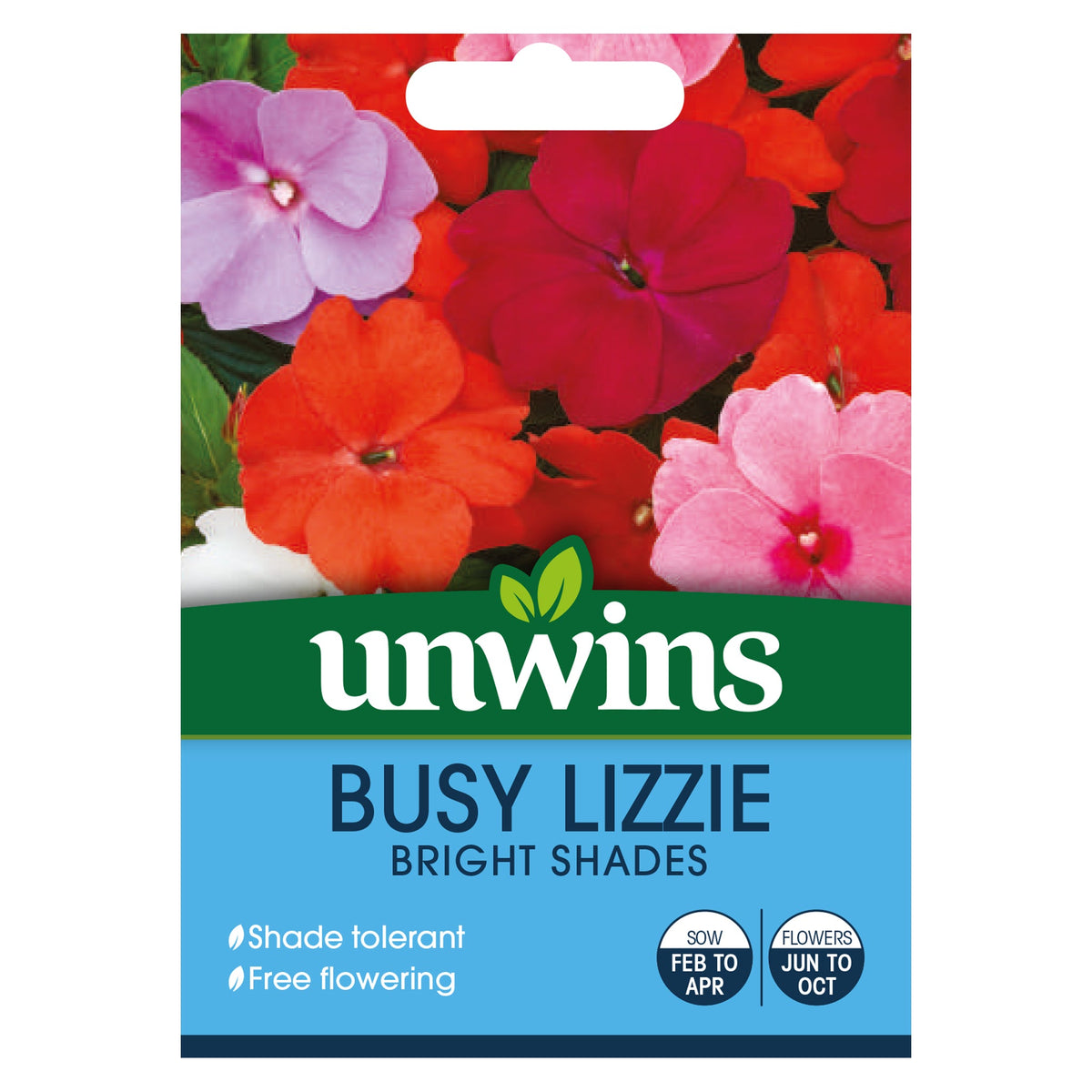 Busy Lizzie Bright Shades Seeds, F1 hybrid annual with mixed red, orange, pink, white flowers, 50 seeds – Keans Claremorris