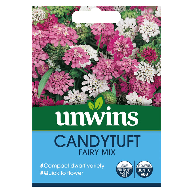 Candytuft Dwarf Fairy Mix - Image 1