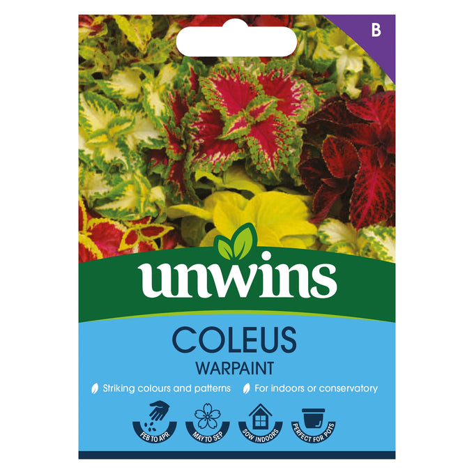 Coleus Warpaint - Image 1
