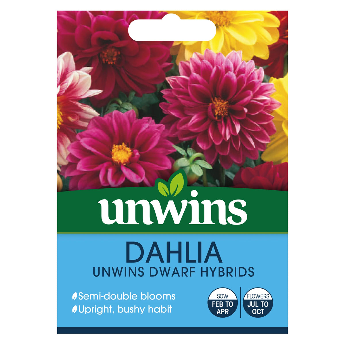 Unwins Dahlia Dwarf Hybrids seed packet showing vibrant semi-double dahlia flowers in mixed colors