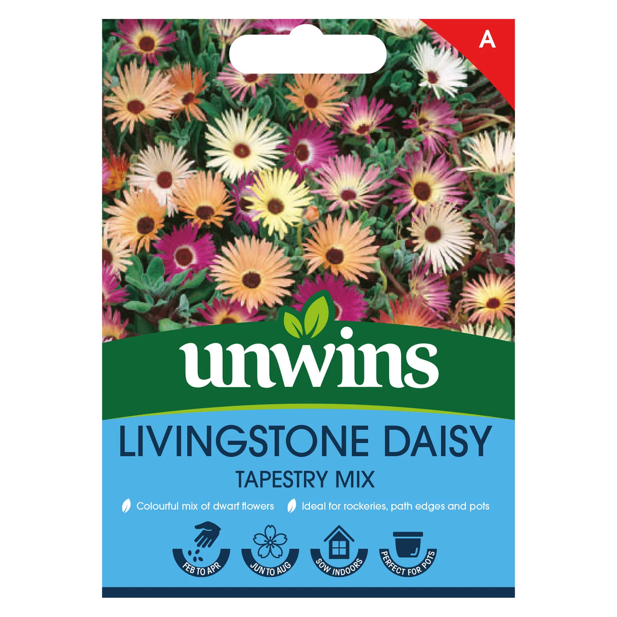 Unwins Livingstone Daisy Tapestry Mix seed packet with colorful daisy flowers and planting icons on blue background.