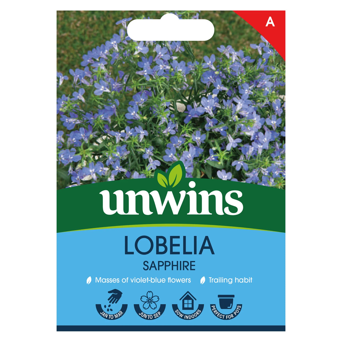 Unwins Lobelia Sapphire seed packet showing violet-blue flowers and planting icons on blue background.