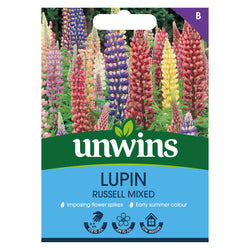 Lupin Russell Mixed Seeds with tall, colorful flower spikes, early summer bloom, ideal for sunny borders – Keans Claremorris