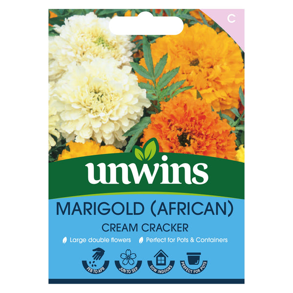 African Marigold Cream Cracker Seeds