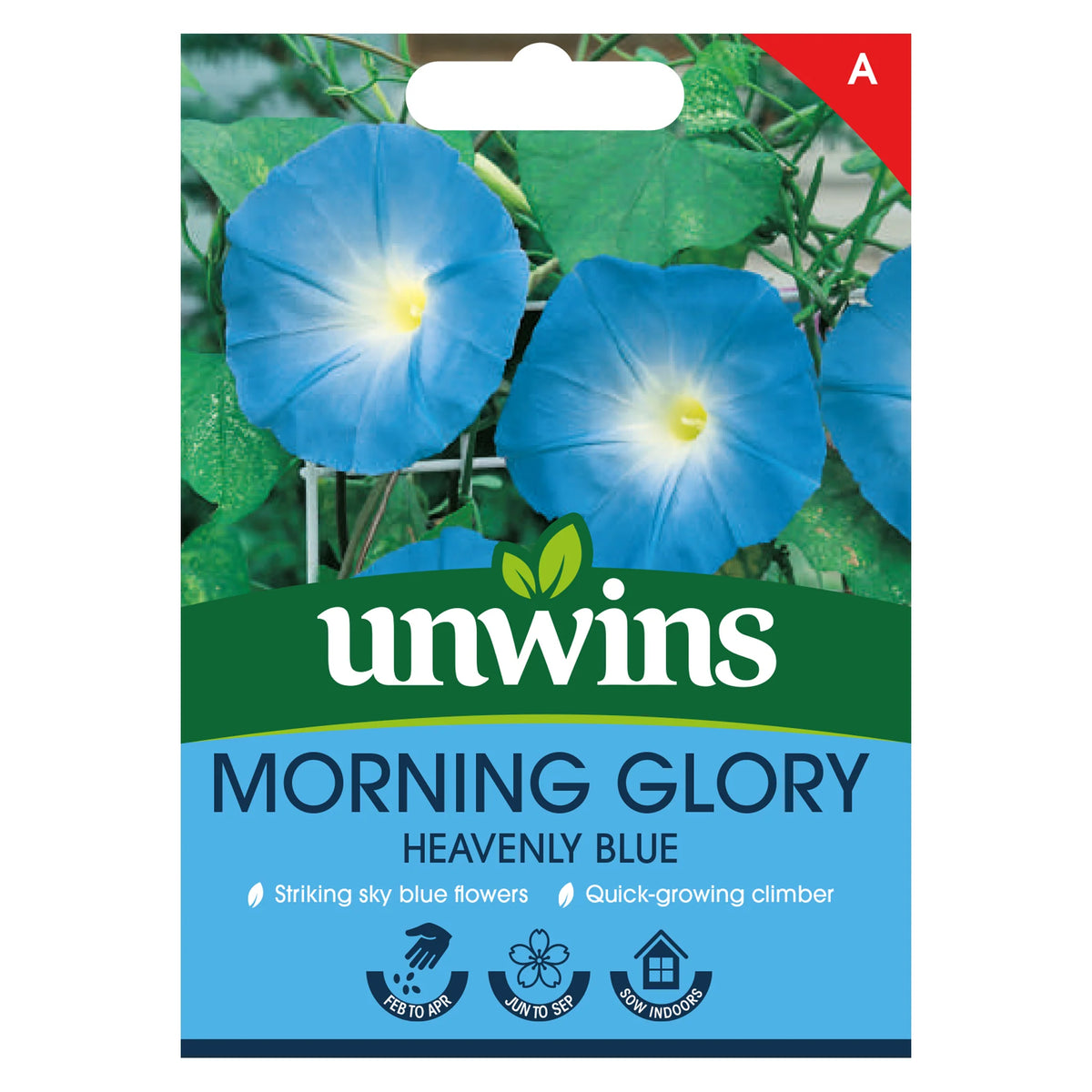 Unwins Morning Glory Heavenly Blue seed packet with blue trumpet flowers and green leaves on front.