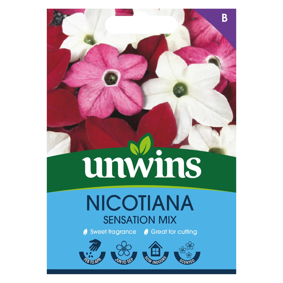 Close-up of Unwins Nicotiana Sensation Mix seed packet showing pink, white, and red flowers and planting icons.