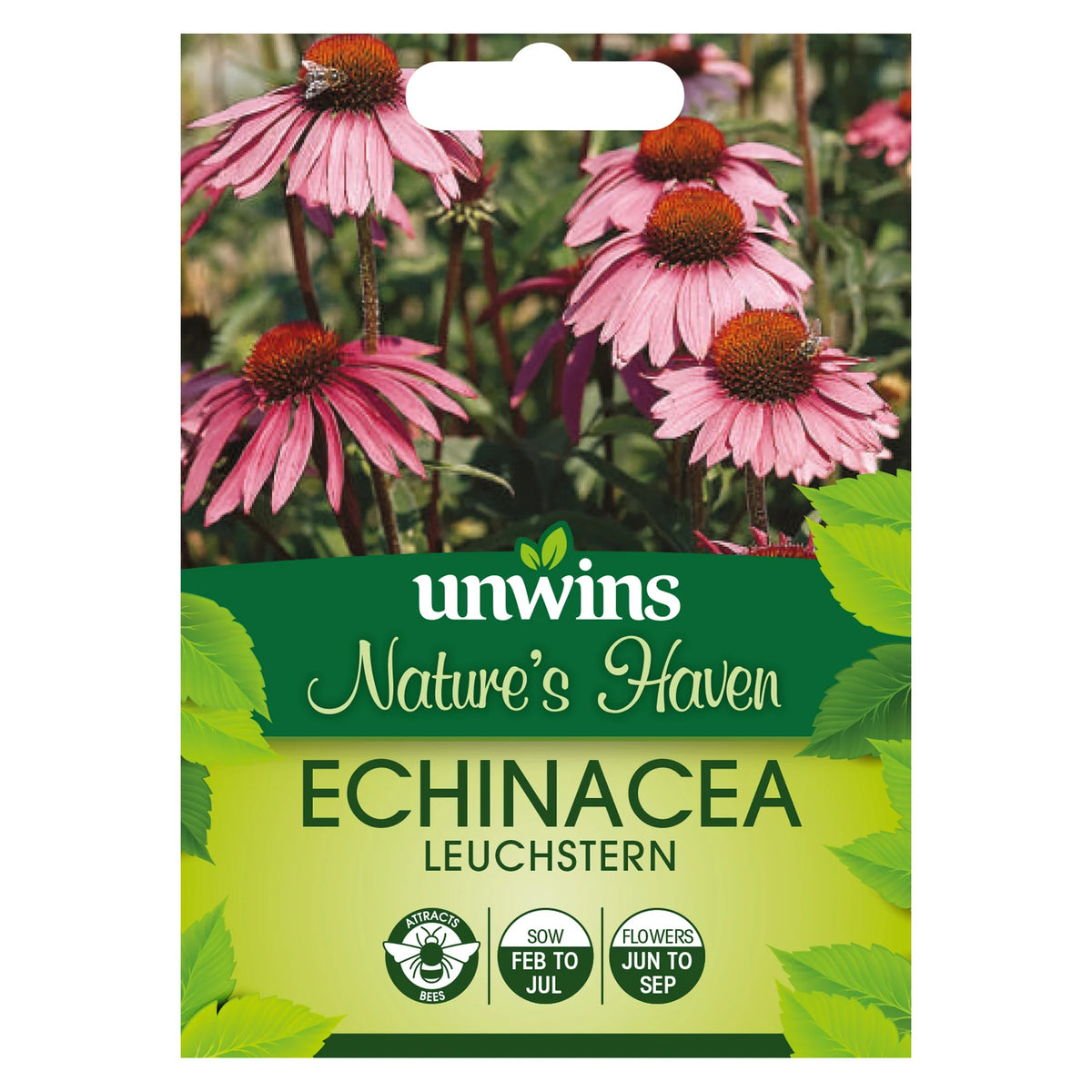 Seed packet for Echinacea Leuchstern with pink-purple coneflowers and orange centers on green background.