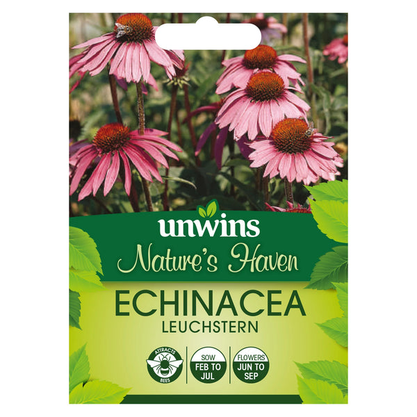 Echinacea Leuchstern
