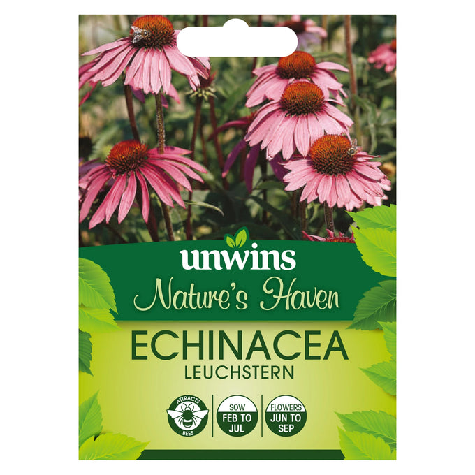 Echinacea Leuchstern - Image 1