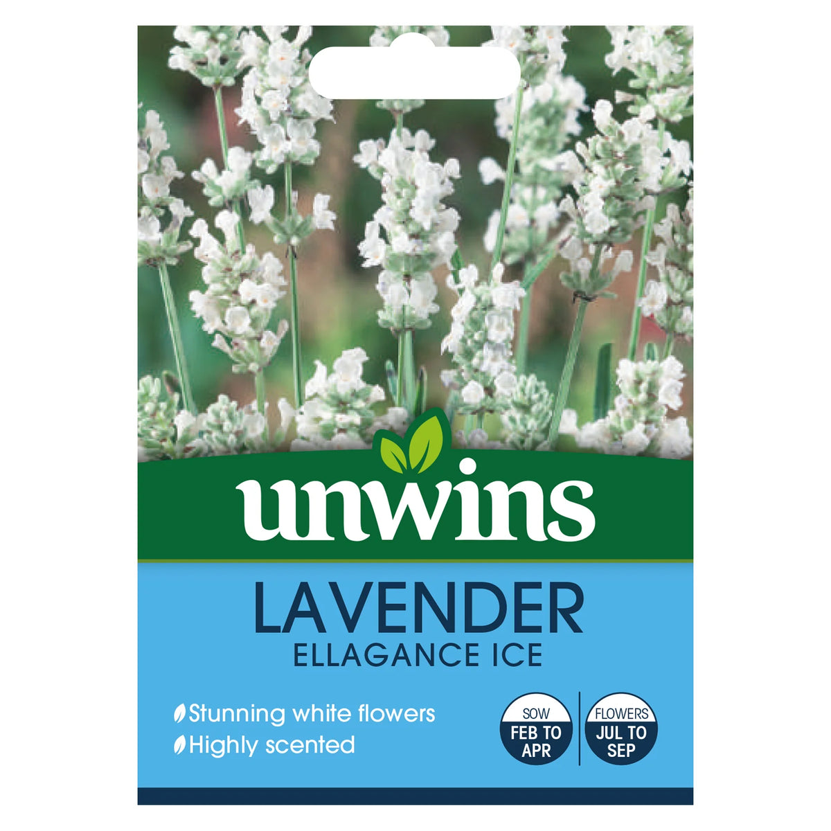 Unwins Lavender Ellagance Ice seed packet showing white lavender flowers and planting details.