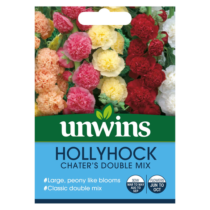 Hollyhock Chaters Double - Image 1