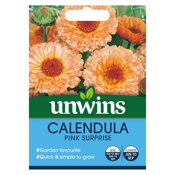 Calendula Pink Surprise - Image 1