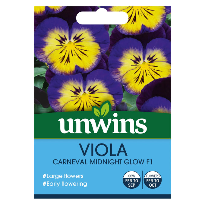 Viola Carneval Midnight Glow F1 - Image 1