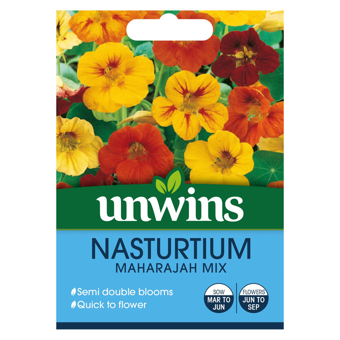 Nasturtium Maharajah Mix - Image 1