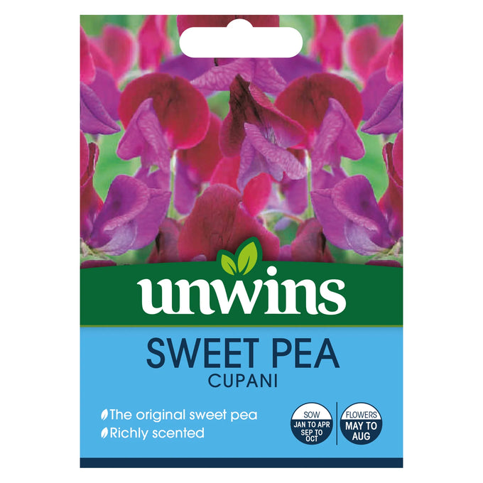 Sweet Pea Cupani - Image 1