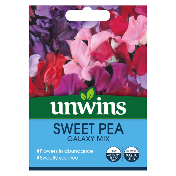 Sweet Pea Galaxy Mixed Seeds by Keans Claremorris, easy to grow, scented pink, purple, red blooms, perfect for pots and