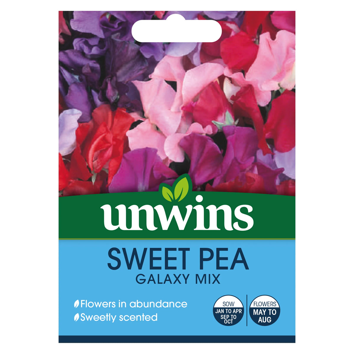 Unwins Sweet Pea Galaxy Mixed seed packet with colorful pink, purple, and red sweet pea flowers on top.