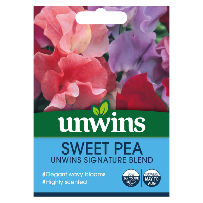 Sweet Pea Unwins Signature Blend - Image 1