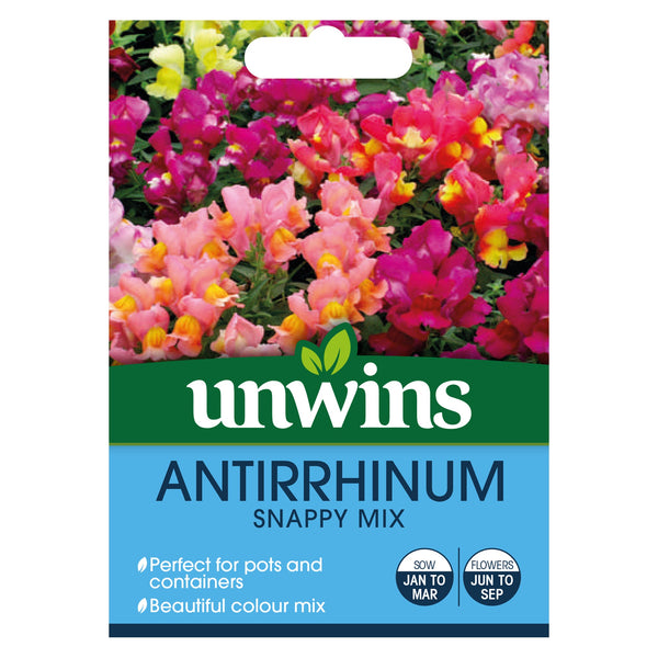 Antirrhinum Snappy Mix Seeds