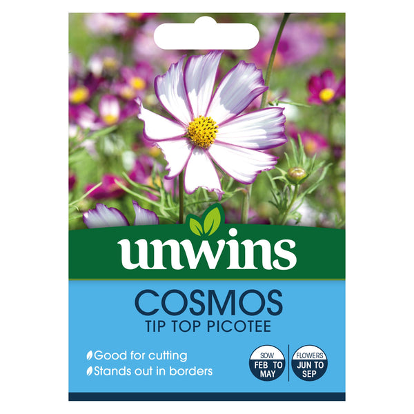 Cosmos Tip Top Picotee Seeds