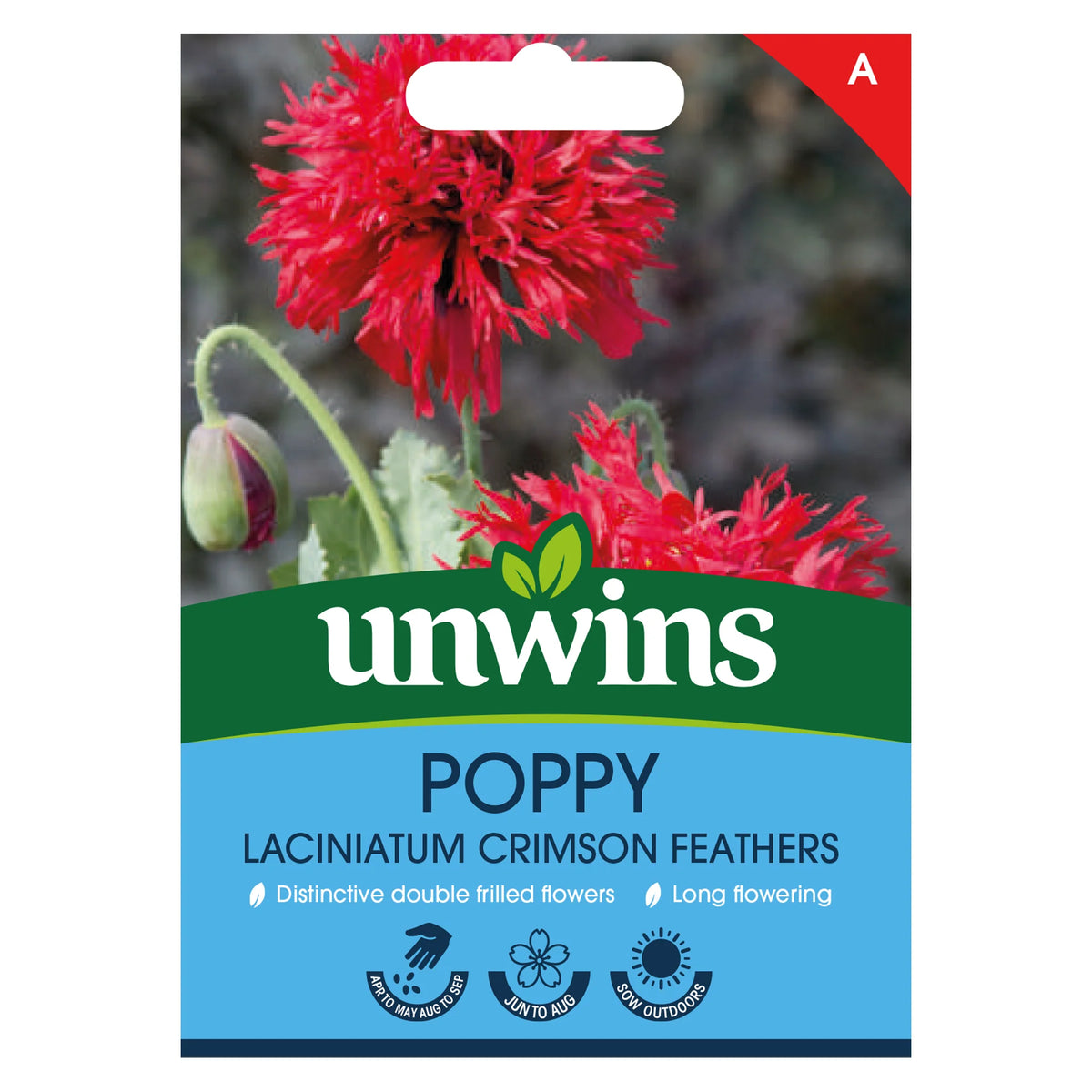 Unwins seed packet showing bright red double frilled poppy flowers with green leaves and unopened buds.