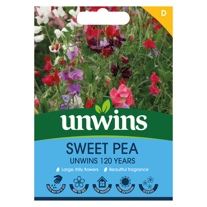 Sweet Pea Unwins 120 Years Mix seeds for fragrant, large Spencer-type blooms, vibrant garden & vase display – Keans