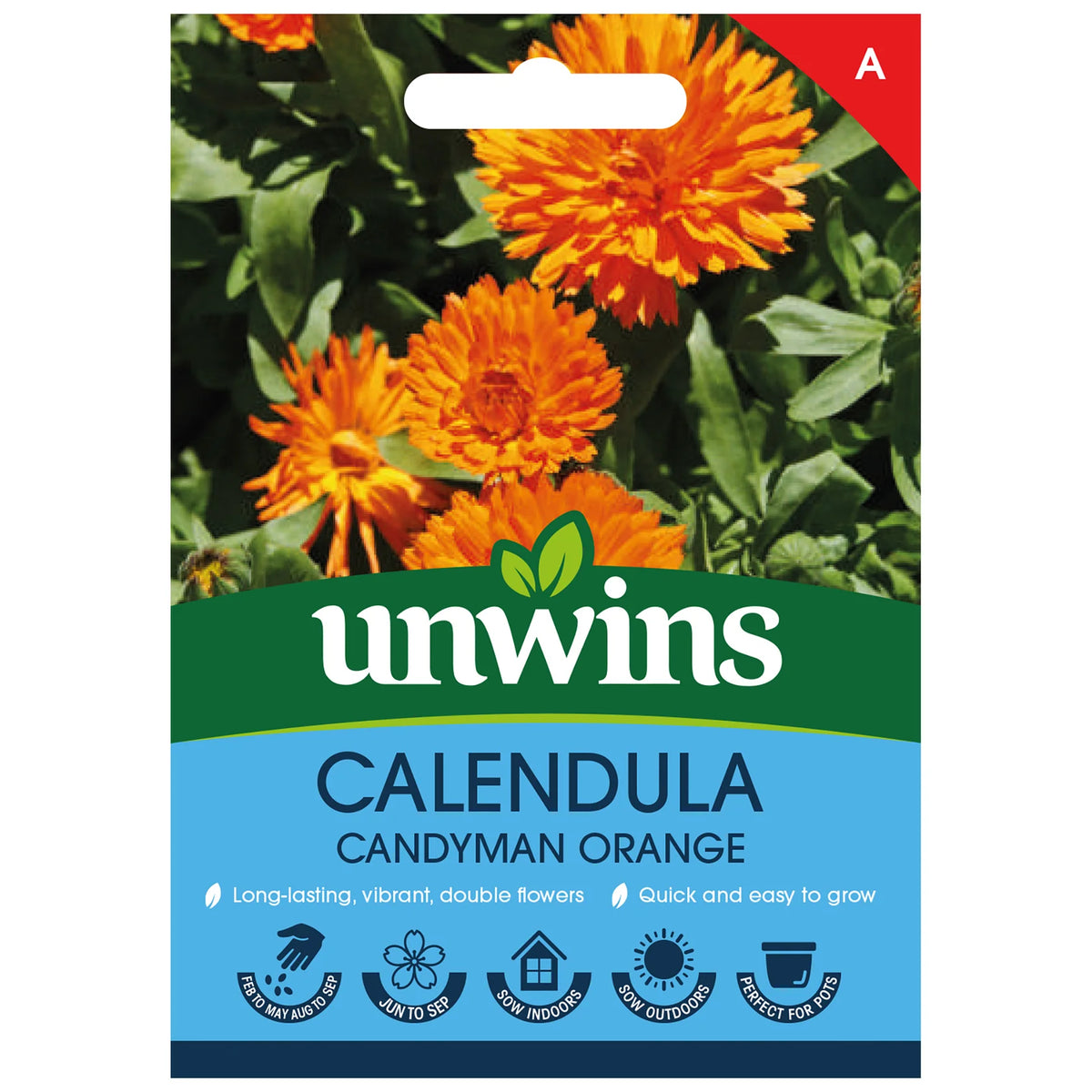 Unwins Calendula Candyman Orange seed packet with bright orange double flowers and planting icons.