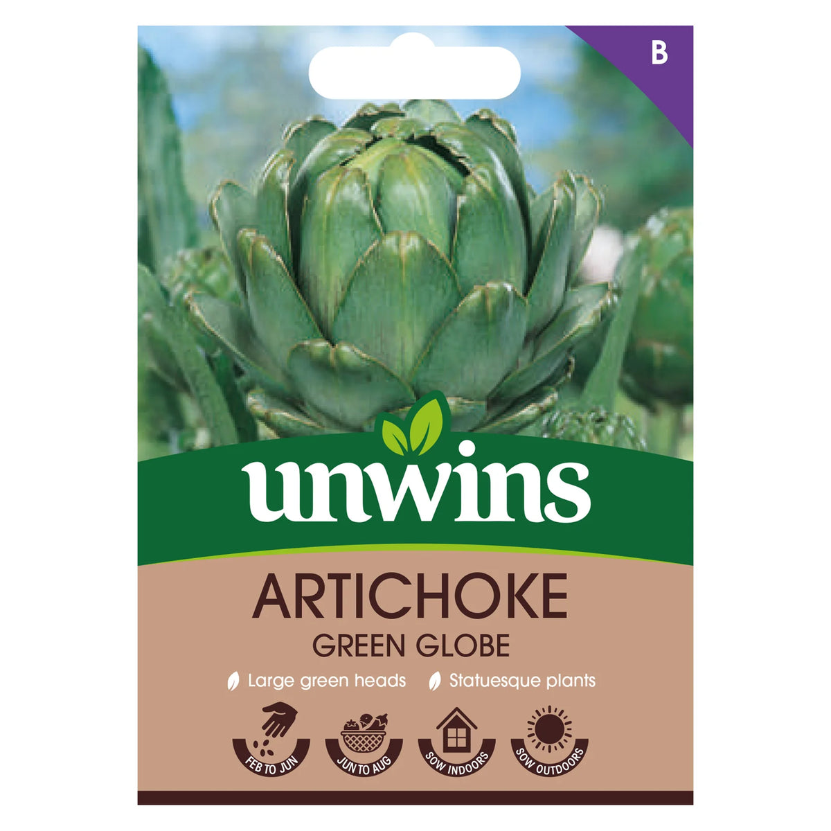 Close-up of green globe artichoke on Unwins seed packet with planting icons and product name.