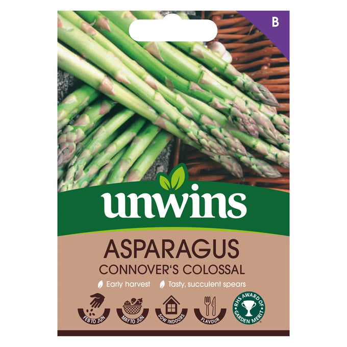 Asparagus Connover's Colossal - Image 1
