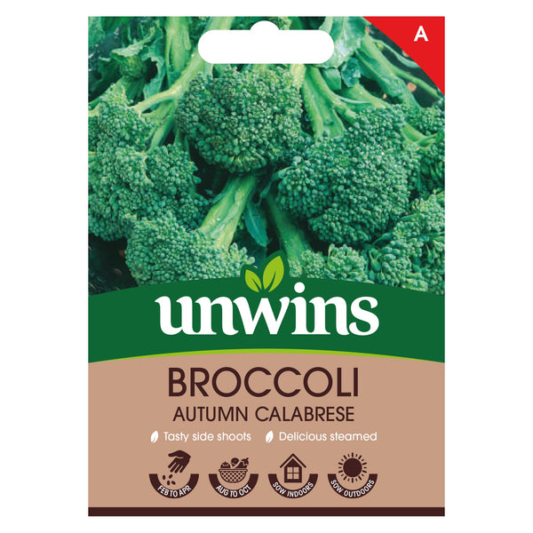 Broccoli Autumn Calabrese Seeds for late summer harvest, rich in vitamins, sow Feb-Mar, harvest Aug-Oct - Keans Claremorris