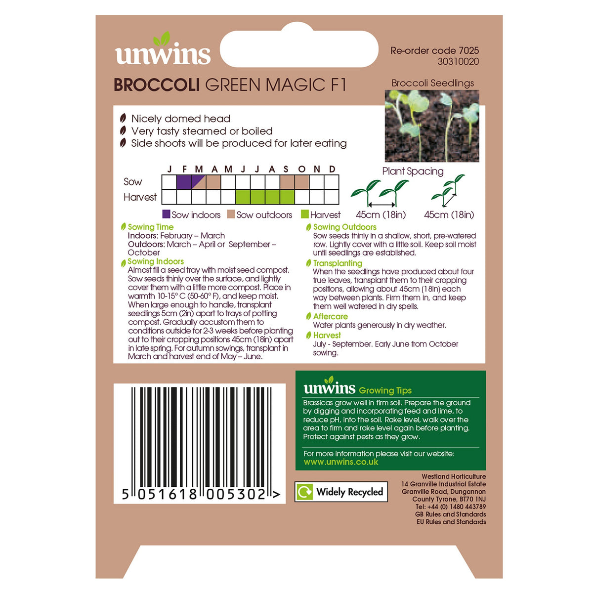 Calabrese Broccoli Green Magic F1 Seeds for home gardening, high yield, from Keans Claremorris store.