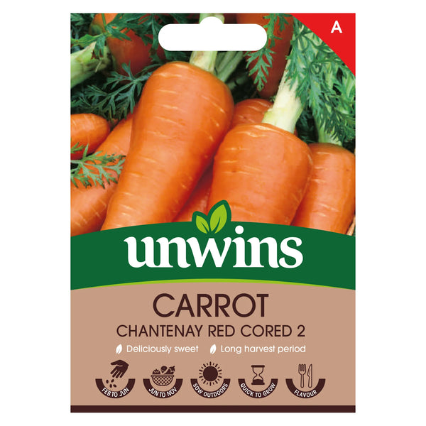Carrot Chantenay Red Cored 2
