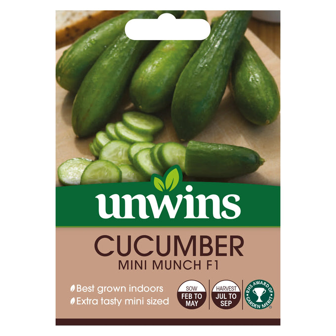 Cucumber (Mini) Mini Munch F1 - Image 1