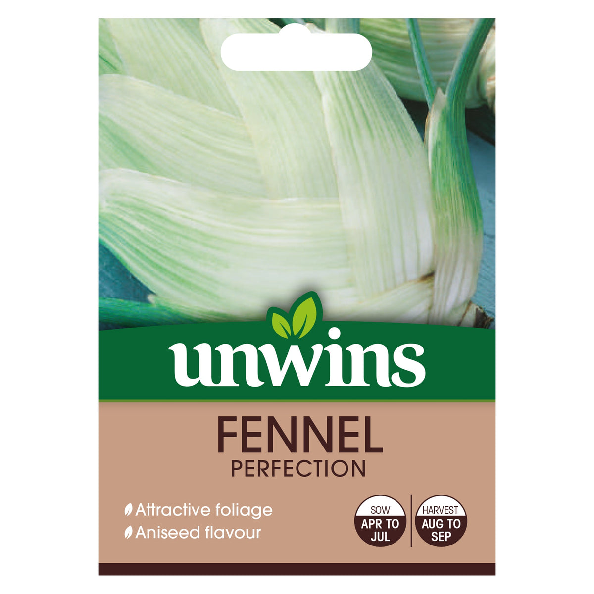 Fennel Perfection Seeds with disease-resistant, edible ferny foliage, sows outdoors Apr-Jul, harvest Aug-Sep – Keans