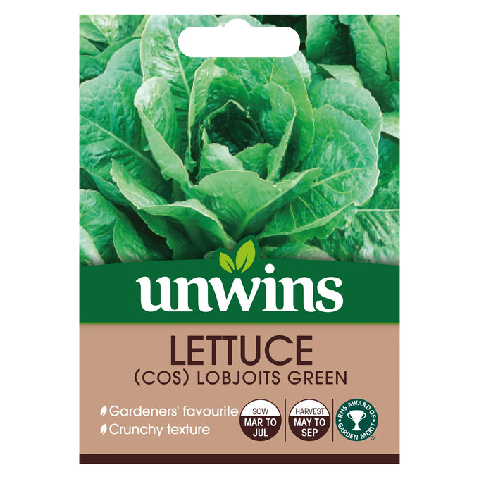 Lettuce (Cos) Lobjoits Green - Image 1