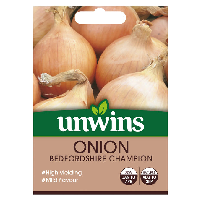 Onion Bedfordshire Champion - Image 1