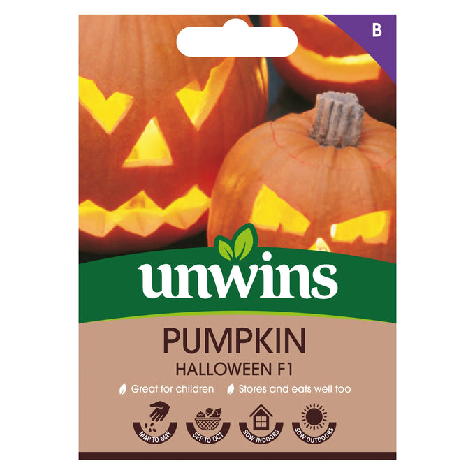 Pumpkin Halloween F1 - Image 1