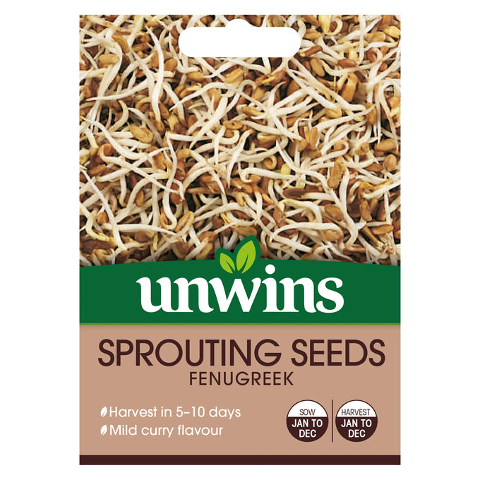 Sprouting Seeds Fenugreek - Image 1