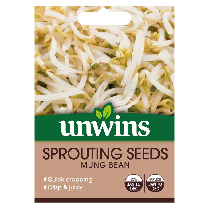 Sprouting Seeds Mung Bean - Image 1
