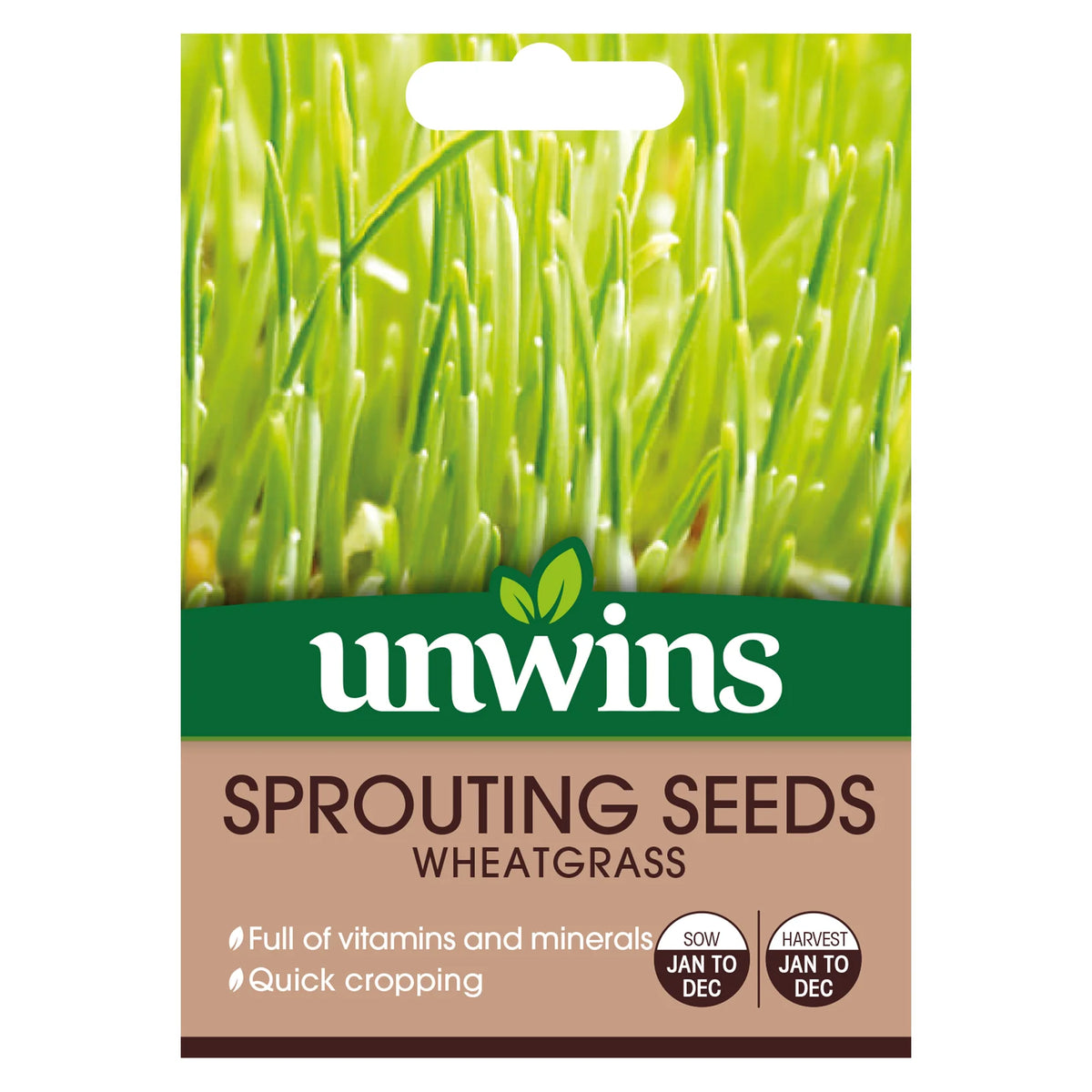 Unwins Sprouting Seeds Wheatgrass packet with green wheatgrass image and sowing details on front.