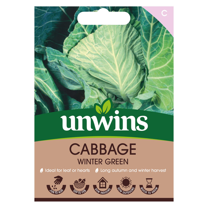 Cabbage Winter Green Seeds for autumn-winter harvest, hardy, quick-growing, full sun or part shade - Keans Claremorris