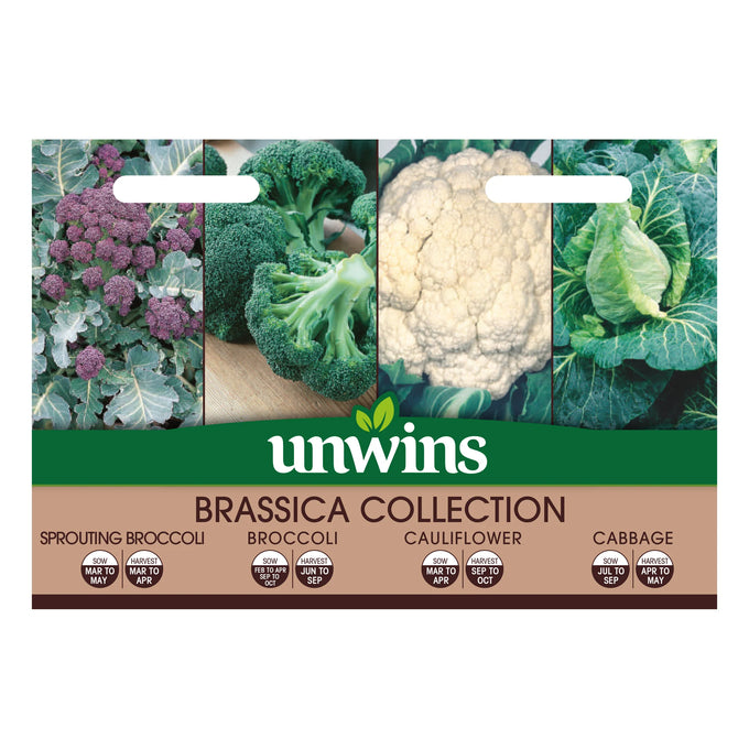 Brassica Collection Pack - Image 1