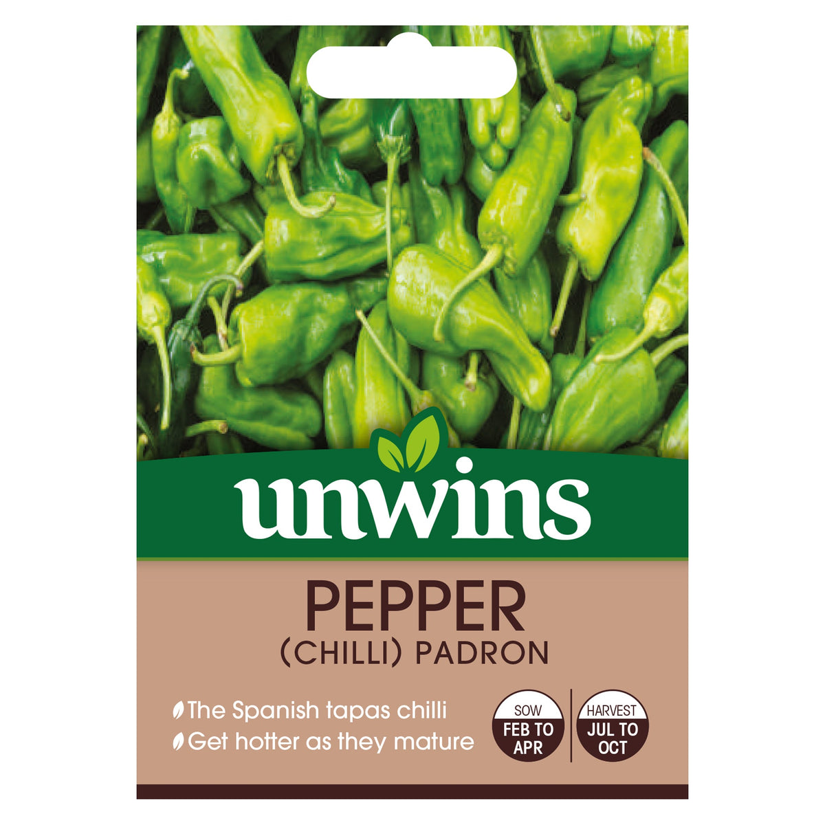 Chilli Pepper Padron Seeds - Spanish tapas chilli, mild with occasional heat, perfect for pots and stir-fries | Keans
